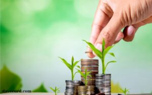 Exploraing Cross Border Loans